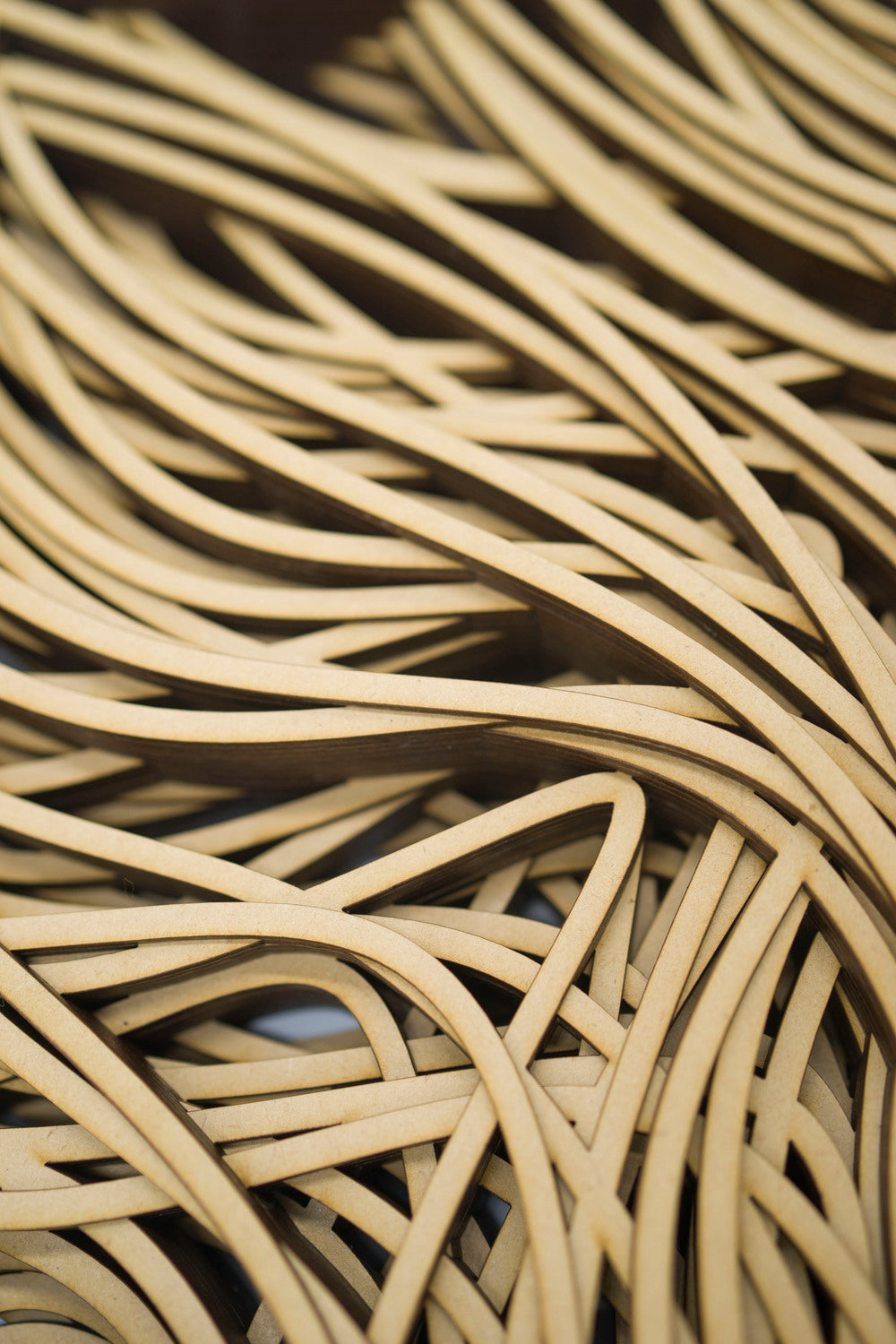 KASTHAM ENTANGLED ROOTS - Kastham