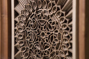 PADMA - The Bloom of Prosperity
